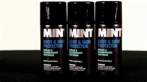 mint boot and shoe protector.